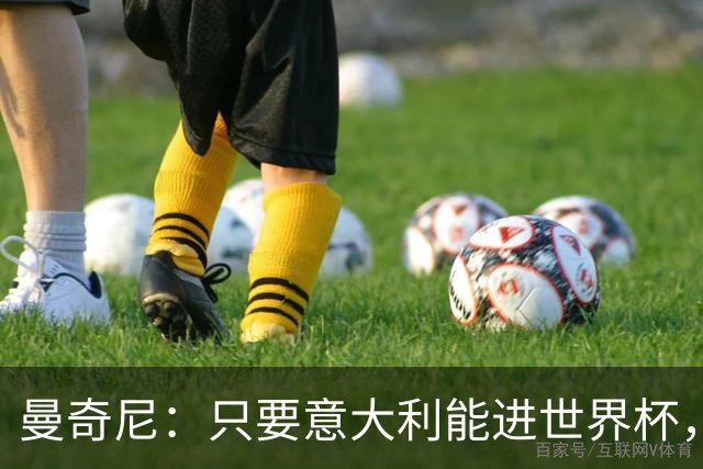 曼奇尼：只要意大利能进世界杯，即使不是夺冠热门也是有力竞争者