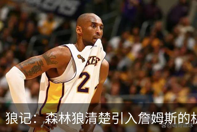 狼记：森林狼清楚引入詹姆斯的机会微乎其微 但他们积极主动招募